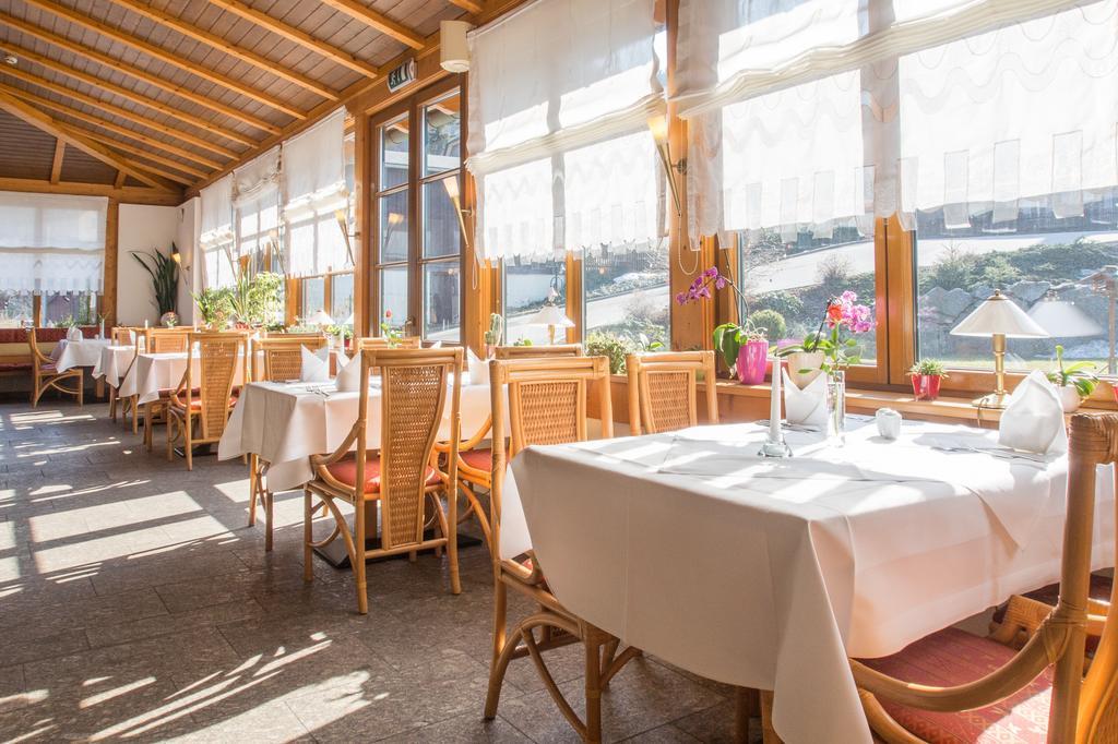 Rittersgruen Hotel Breitenbrunn (Saxony)